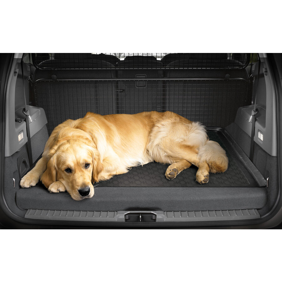 Vasca baule su misura Fiat 500 2007> - UNIT Fiat 500 2007 >